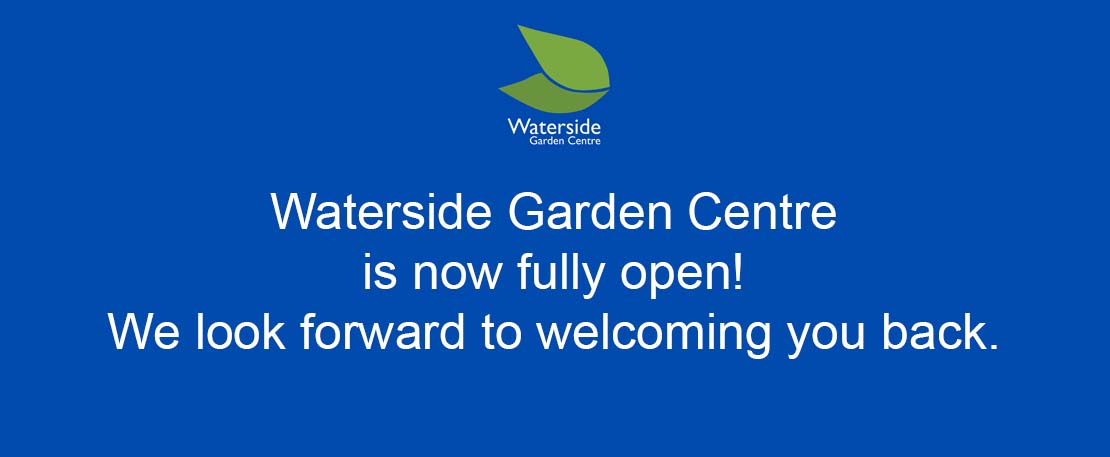 Re-opening Update at Waterside Garden Centre